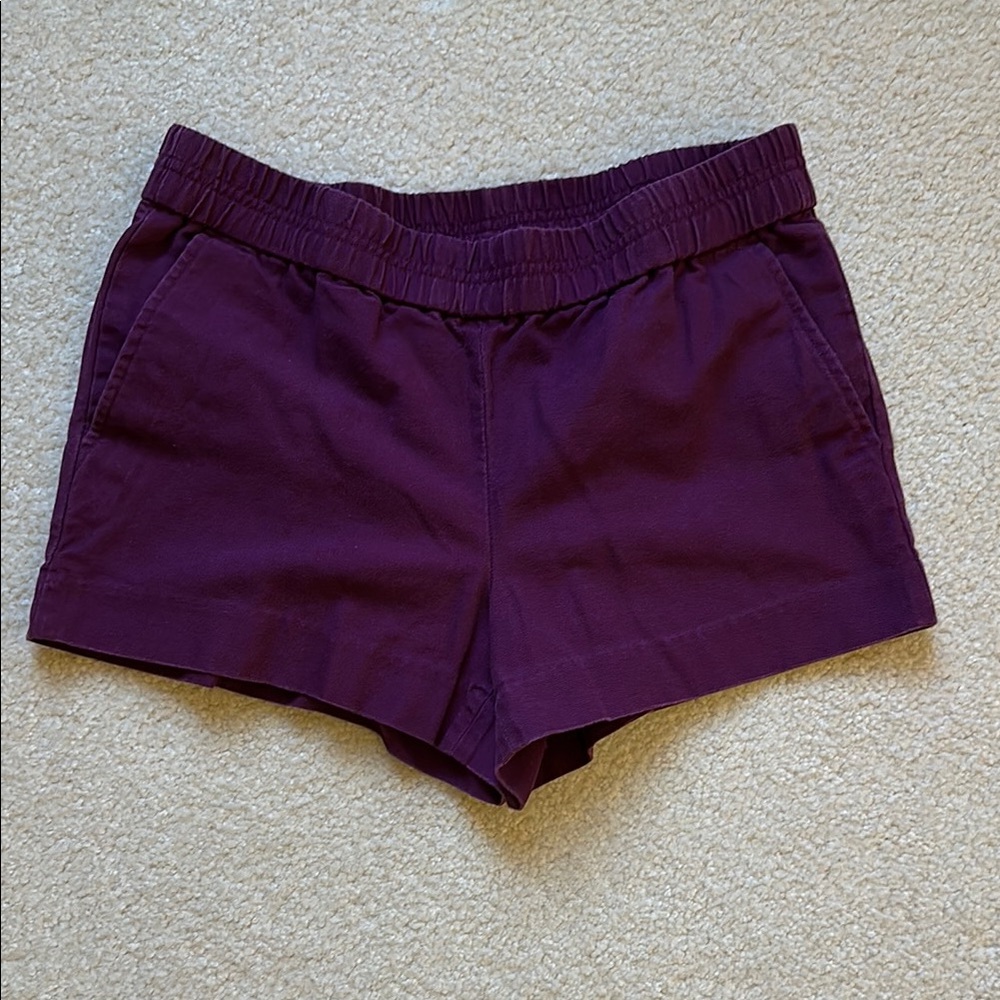 Women's J Crew Purple Shorts